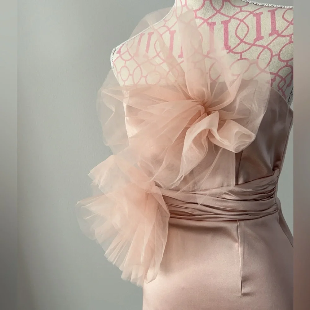 Blush pink Zara dress in size XS. - Picture 3 of 5